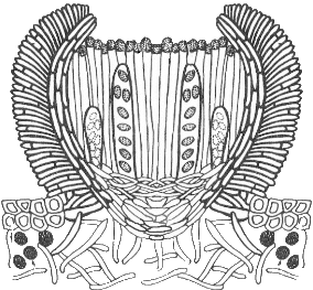 Apothecium