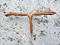 Emmelina_monodactyla.jpg