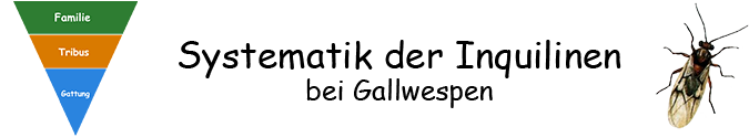 Pflanzengallen - Systematik der Inquilinen