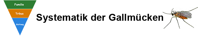 Pflanzengallen - Systematik der Gallmücken (Cecidomyiidae) Pflanzengallen - Systematik der Gallmücken (Cecidomyiidae)